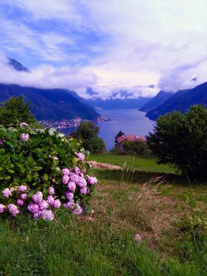 Holiday Home Liliana Faggeto Lario ภายนอก รูปภาพ