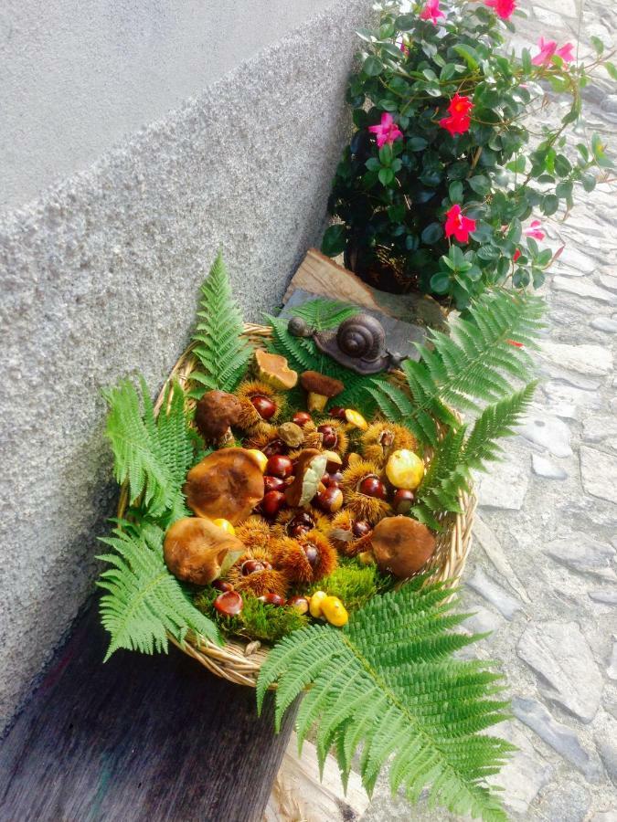Holiday Home Liliana Faggeto Lario ภายนอก รูปภาพ
